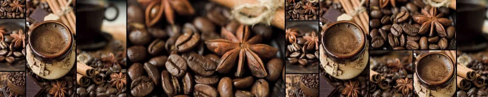 Model #101792