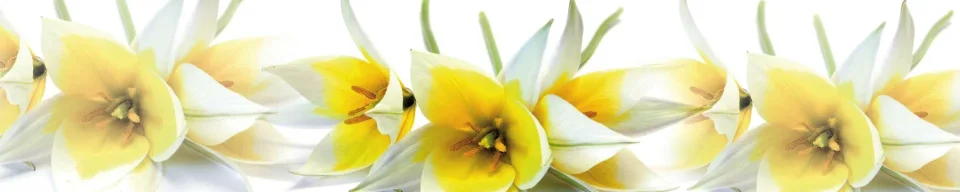 Model #121975