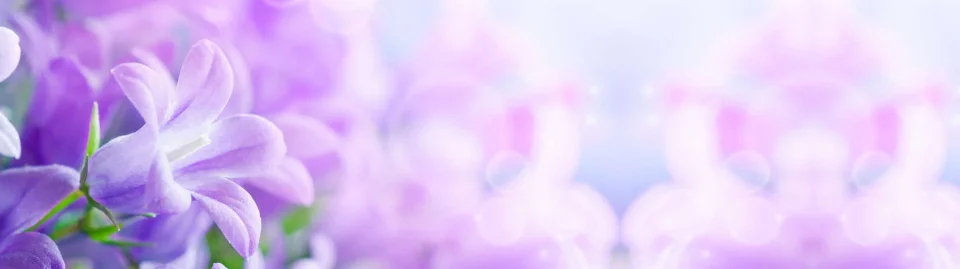 Model #151714
