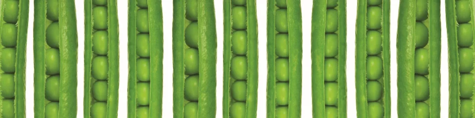 Model #151754
