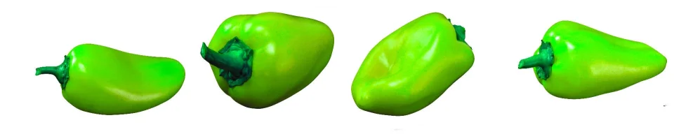 Model #155377
