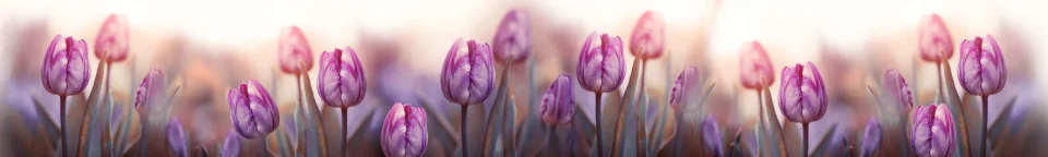 Model #159145