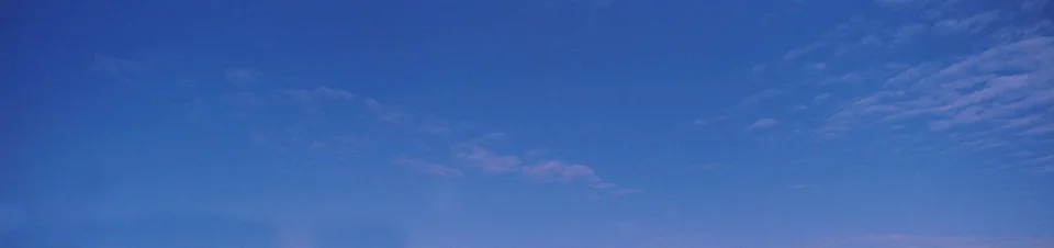 Model #159357