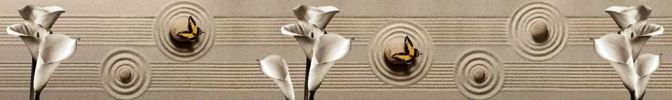 Model #162540
