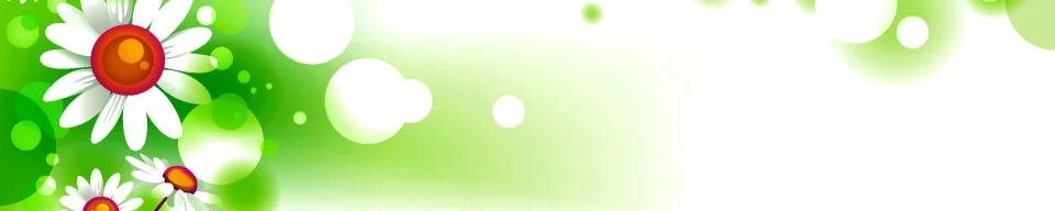 Model #177556