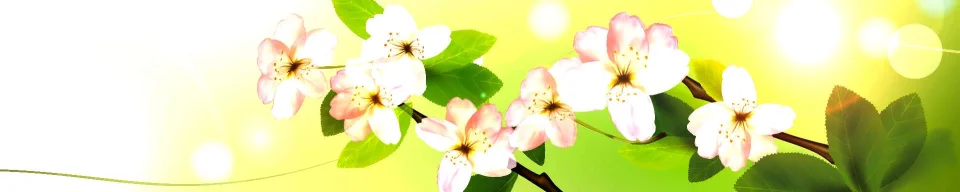 Model #177611