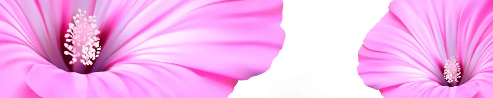 Model #184034