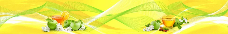 Model #210290