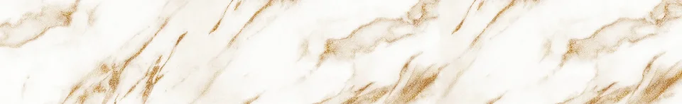 Model #2350002