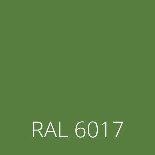 RAL 6017
