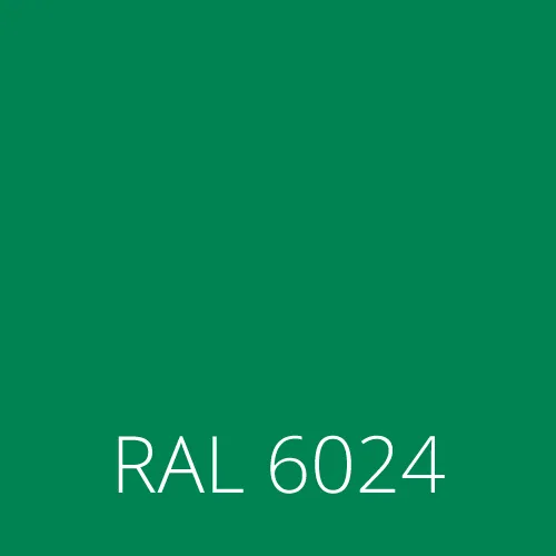 RAL 6024