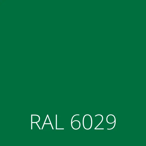 RAL 6029
